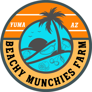 Beachy Munchies Logo