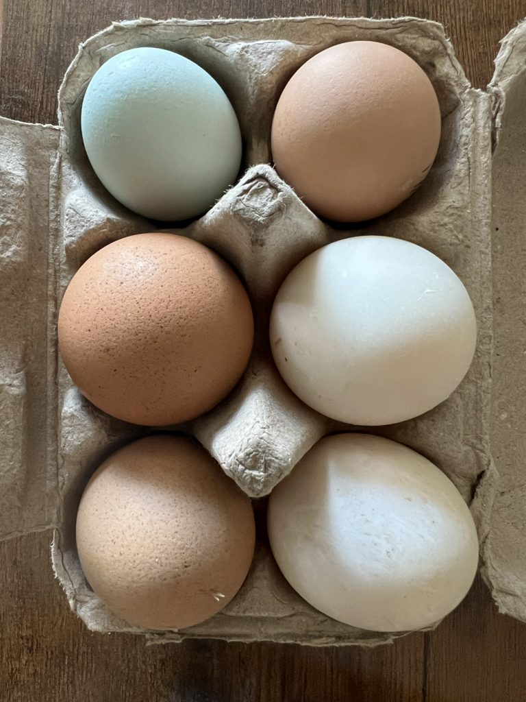 Two Duck Eggs & Four Chicken Eggs