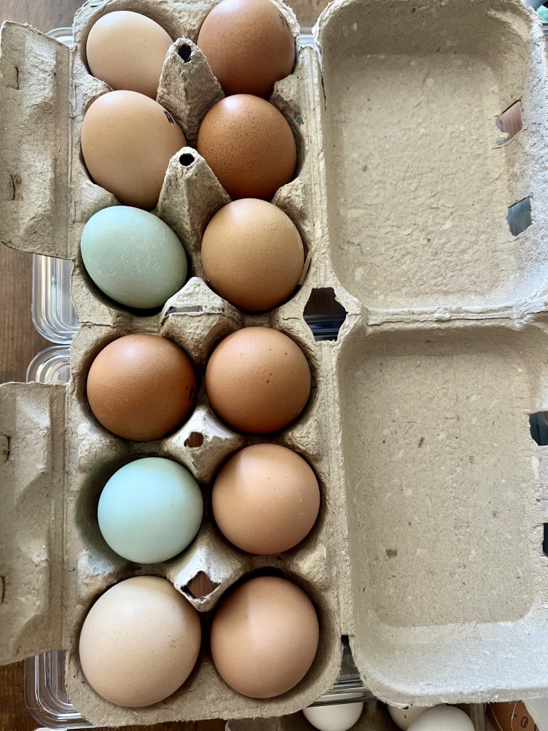 Dozen Chicken Eggs