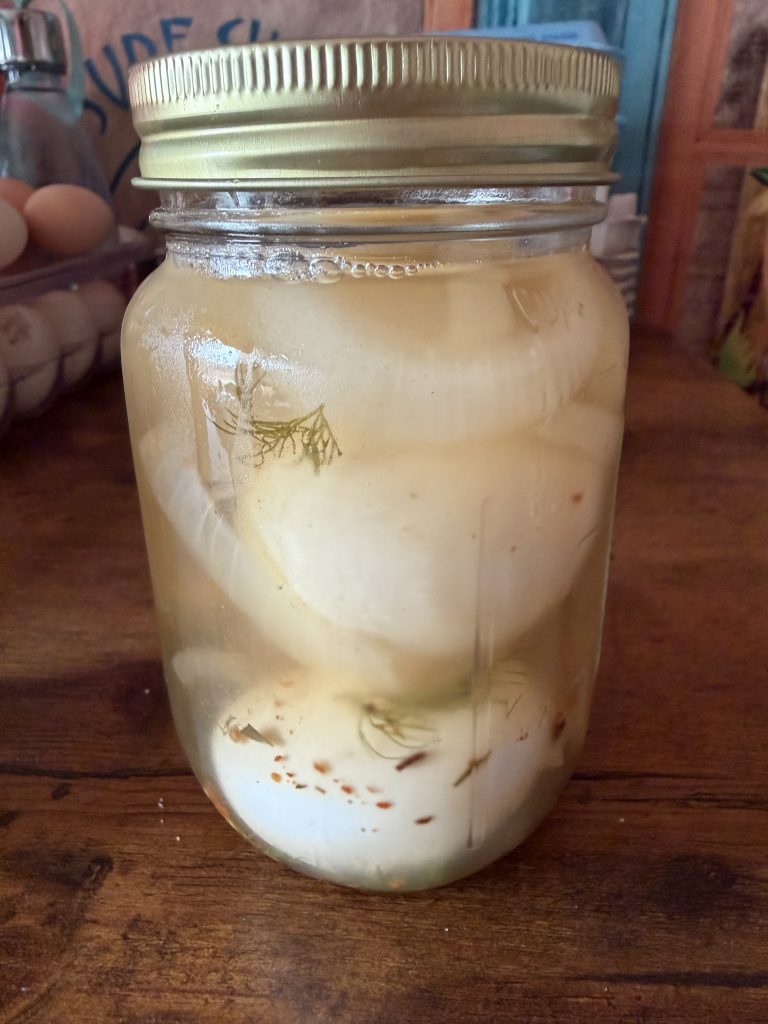 Pickled Duck Eggs