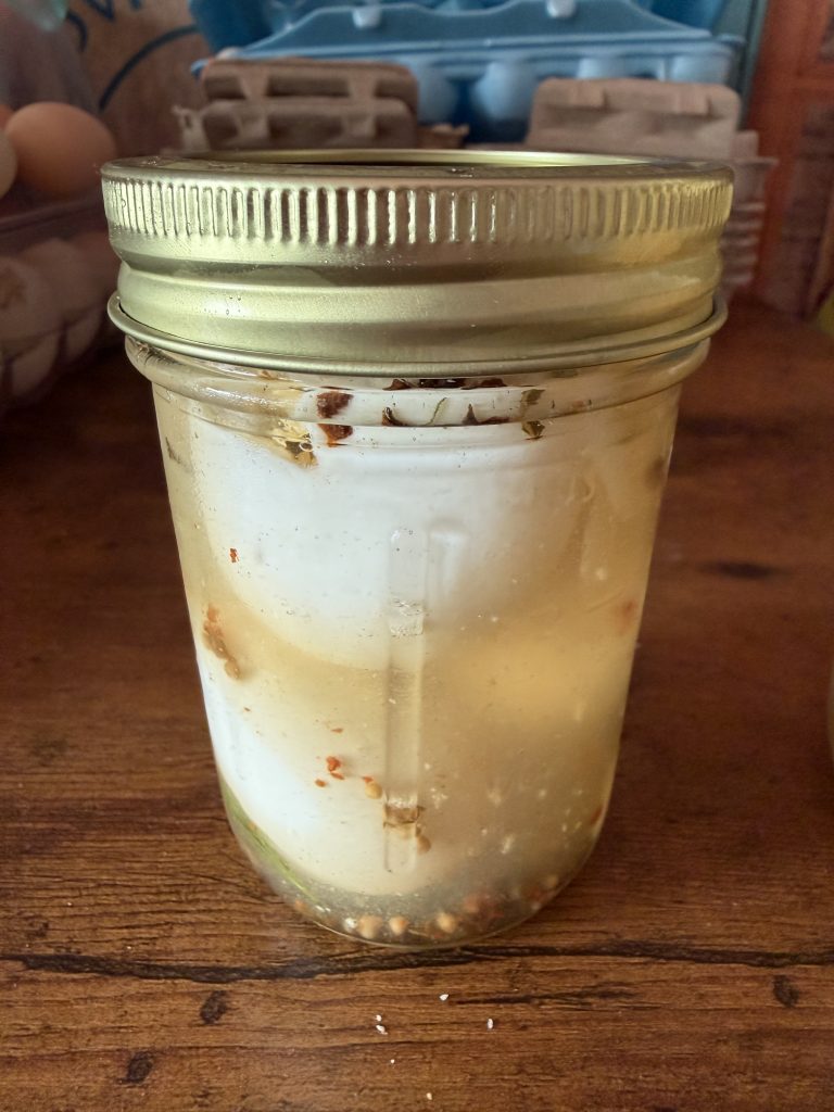 Serama Pickled Eggs
